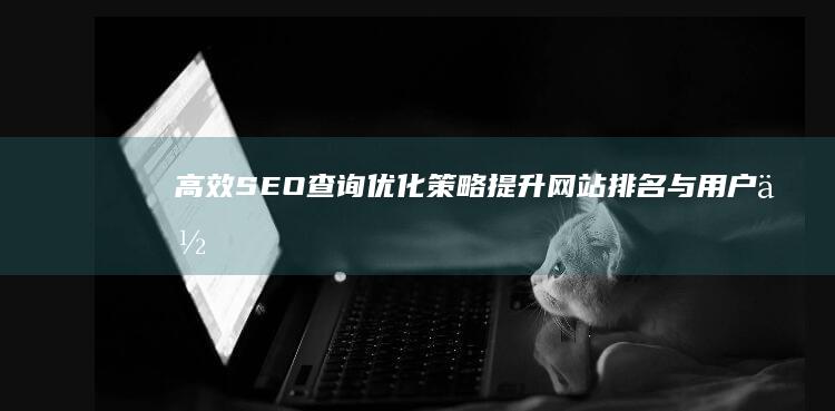 高效SEO查询优化策略：提升网站排名与用户体验